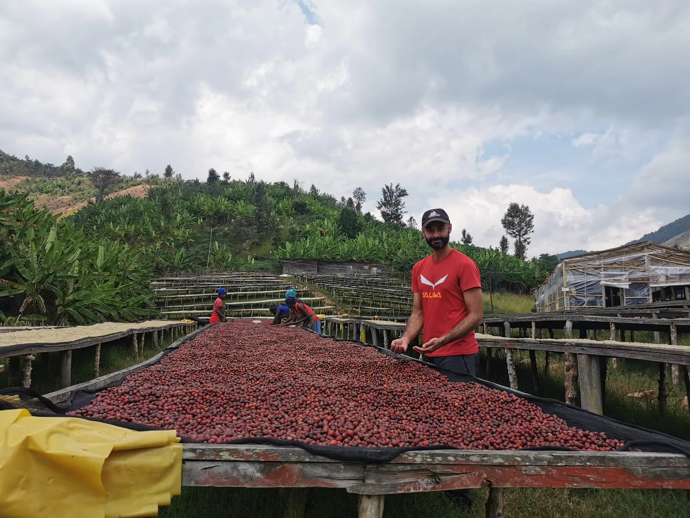 Producteur souriant devant les lits de séchage de cerises de café (cascara)