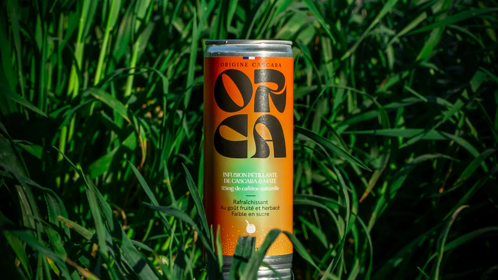 Canette ORCA au cœur d’une herbe verte, évoquant l’origine naturelle de la cascara